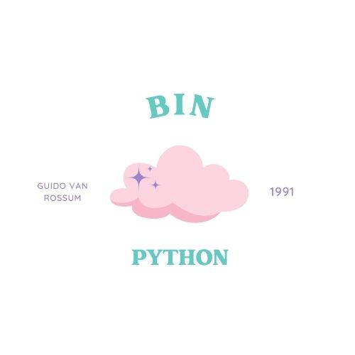 BIN Python Function